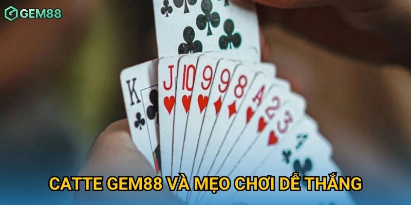 Catte Gem88 và mẹo chơi dễ thắng Catte Gem88 và mẹo chơi dễ thắng
