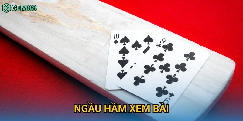 Ngầu Hầm Xem Bài Gem88 – Game Bài Cực Độc Đáo Và Gay Cấn